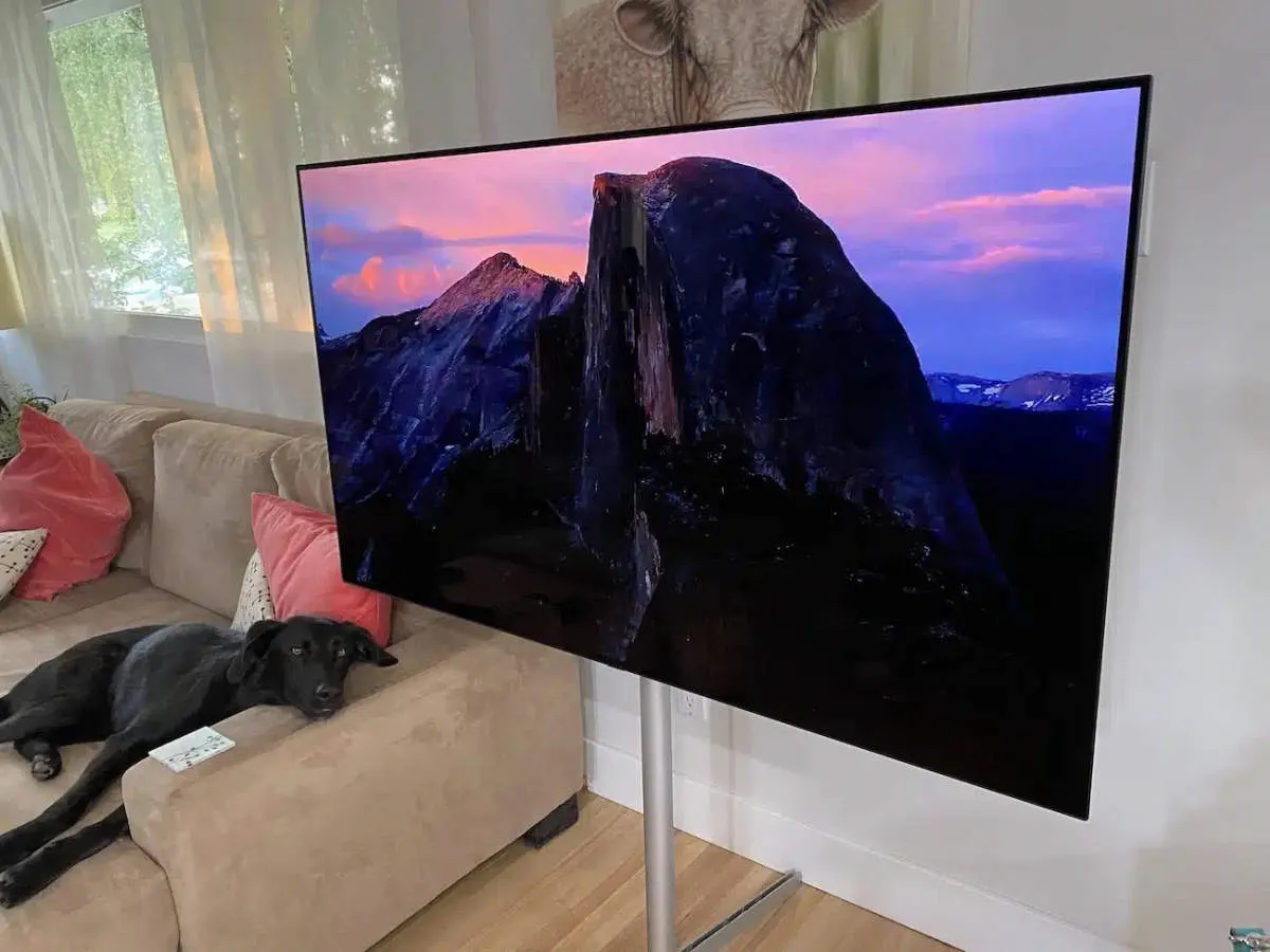 LG C1 OLED TV Review: Best Picture Quality